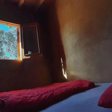 Tunis Camp Fayoum Екстериор снимка