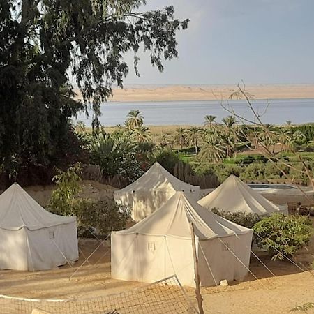 Tunis Camp Fayoum Екстериор снимка