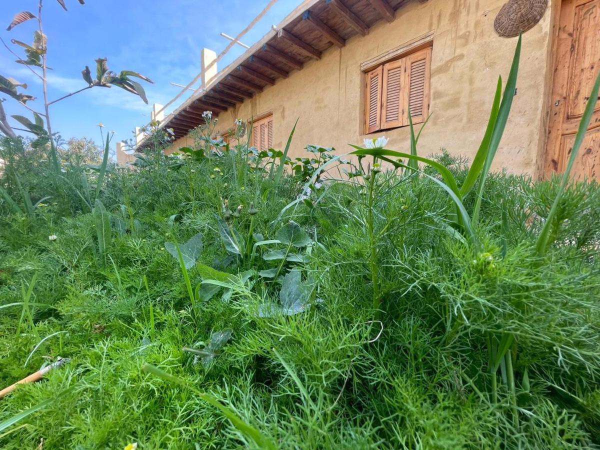 Tunis Camp Fayoum Екстериор снимка