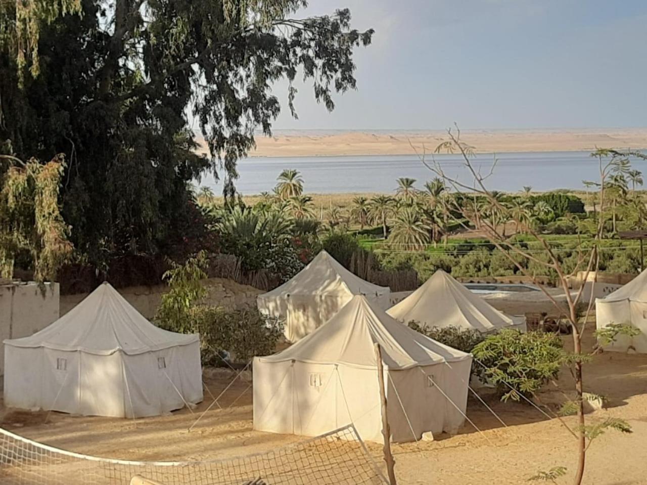 Tunis Camp Fayoum Екстериор снимка